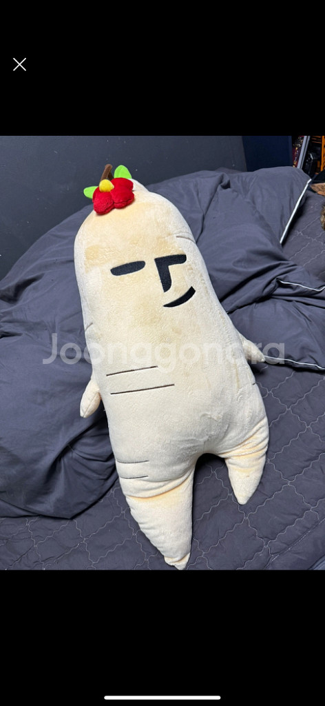 정글고 만년삼 필로우 인형--0