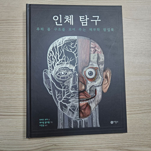 비룡소 인체탐구