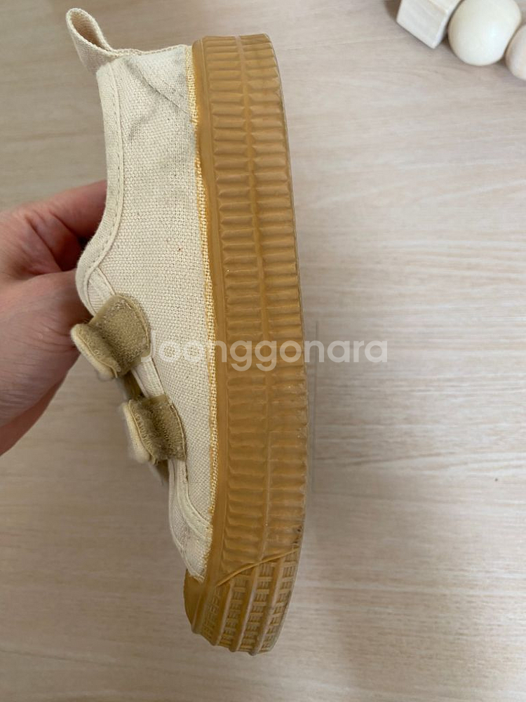 노베스타 29--2