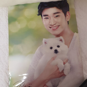 배우 김수현 포스터