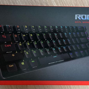 asus rog falchion 체리 적축