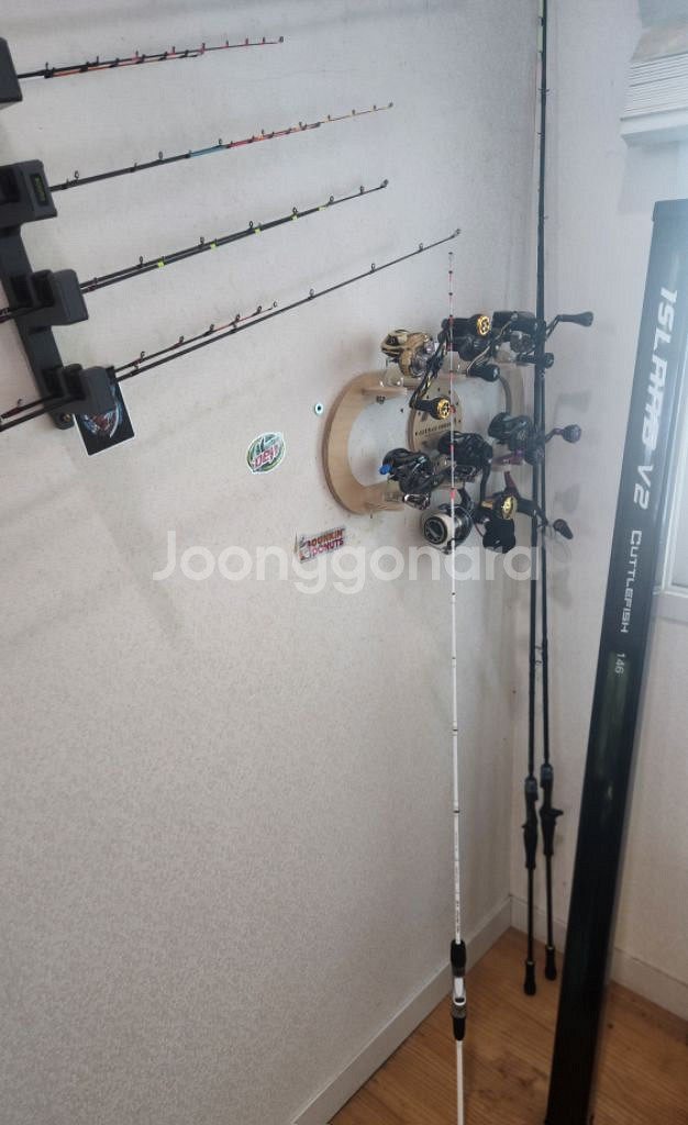 아일랜드 V2 146--2