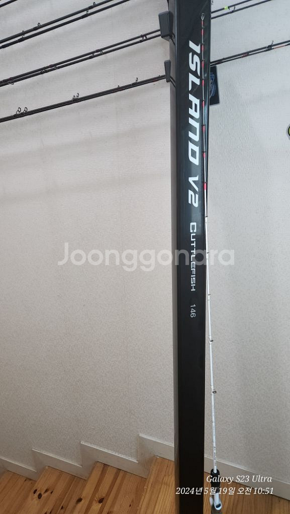 아일랜드 V2 146--1