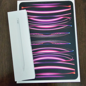 아이패드 프로 iPad Pro 11 4세대 + 애플펜슬