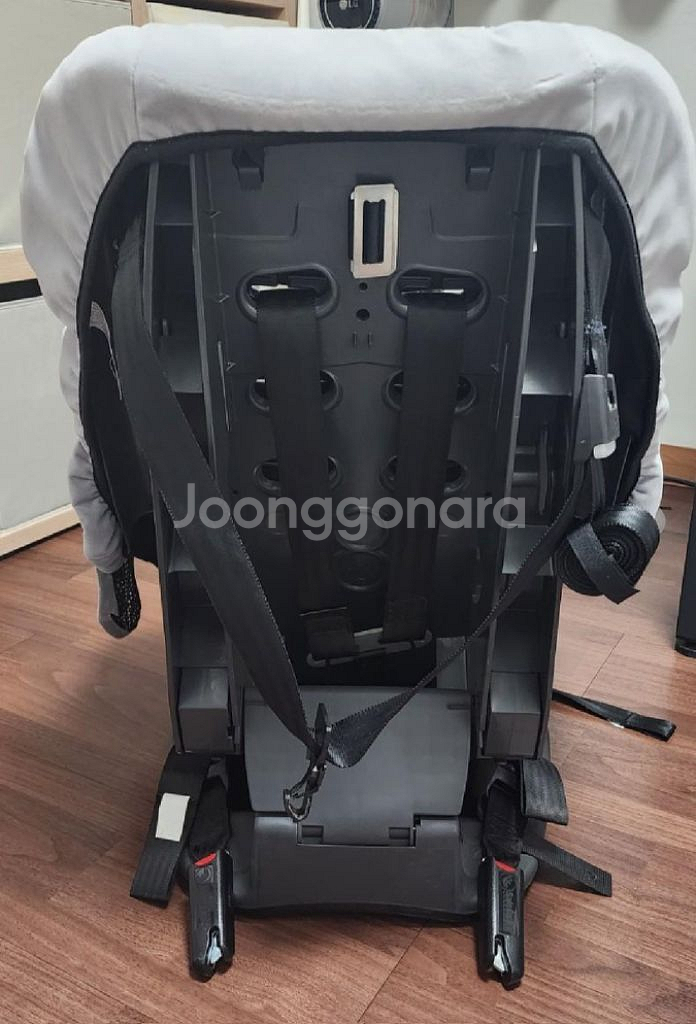 브라이택스 카시트--8