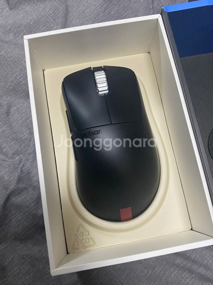 펄사 xlite v3 es 토너먼트 에디션 새제품--1