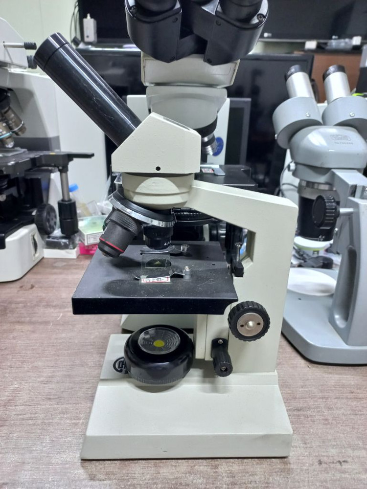 LED생물현미경-80.400.1200X 이미지