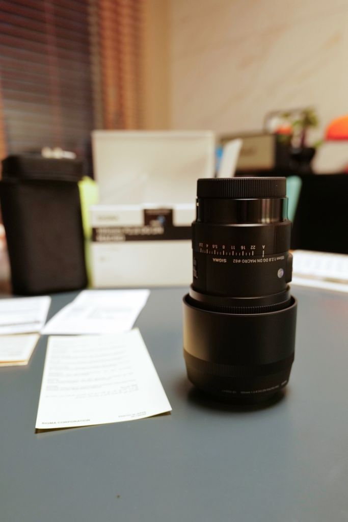 시그마 105mm F2.8 DG DN L마운트