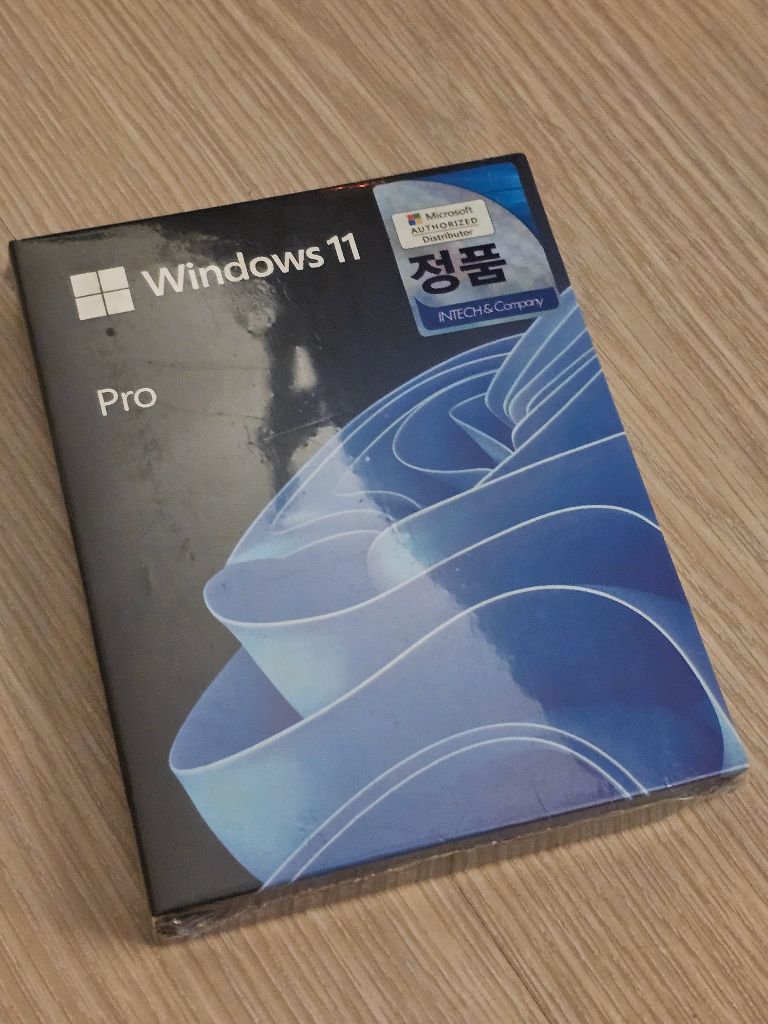 윈도우11 프로 FPP USB 버전 처음사용자용