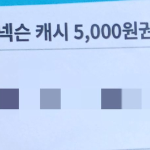 넥슨캐시 5000원권