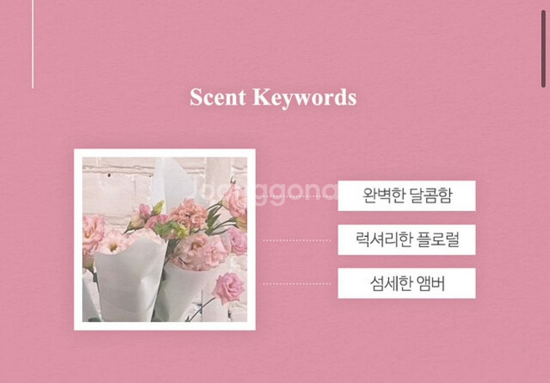 프라다 패러독스 90ml--2