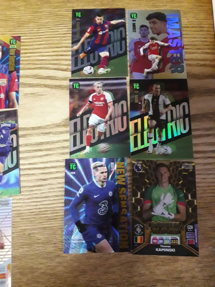 파니니카드 일괄--2