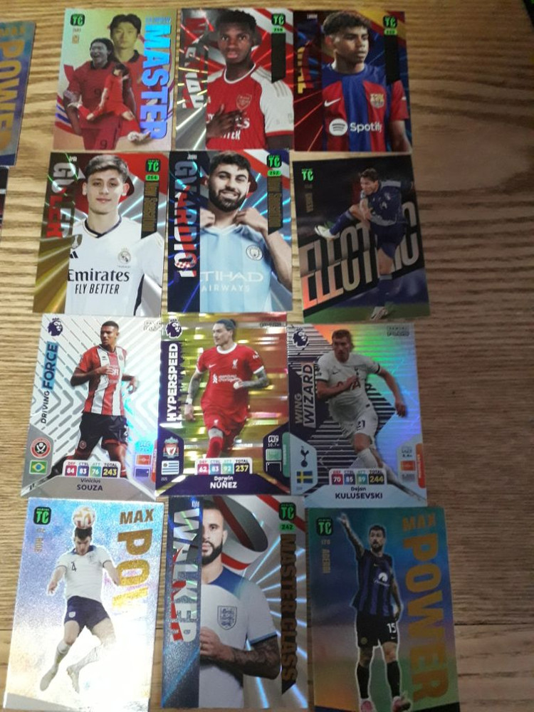 파니니카드 일괄--1