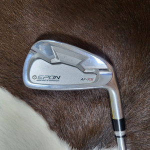 EPON 에폰 AF-701 4번 아이언