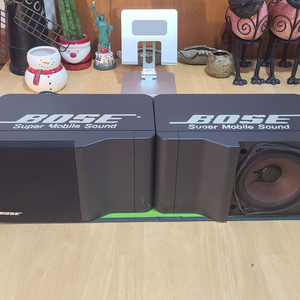 BOSE 101 IT usa