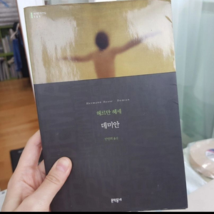 책.헤르만 헤세_데미안 (판매가 8000)