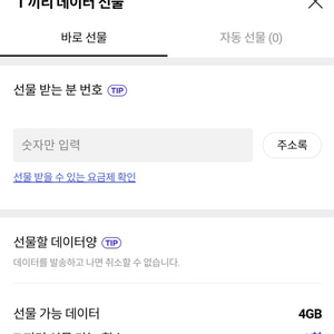 T끼리 데이터2GB