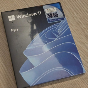 윈도우11 프로 FPP USB 처음사용자용