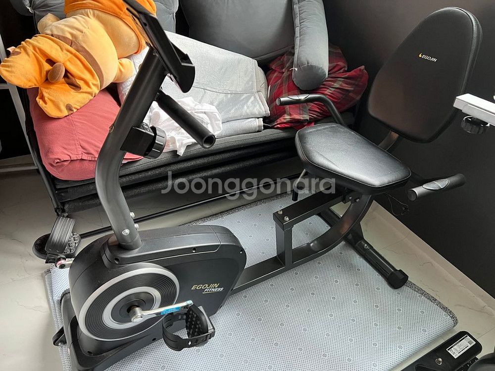 이고진 실내 자전거 좌식형 806R--2