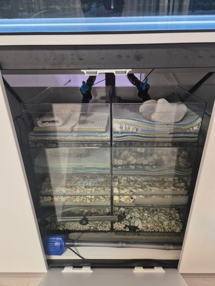 5자 살수식 섬프어항 이미지