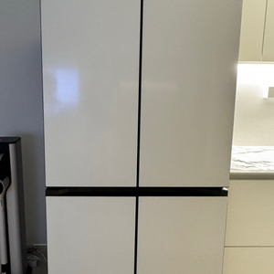 LG 디오스 오브제 양문형 냉장고 872L 새상품급