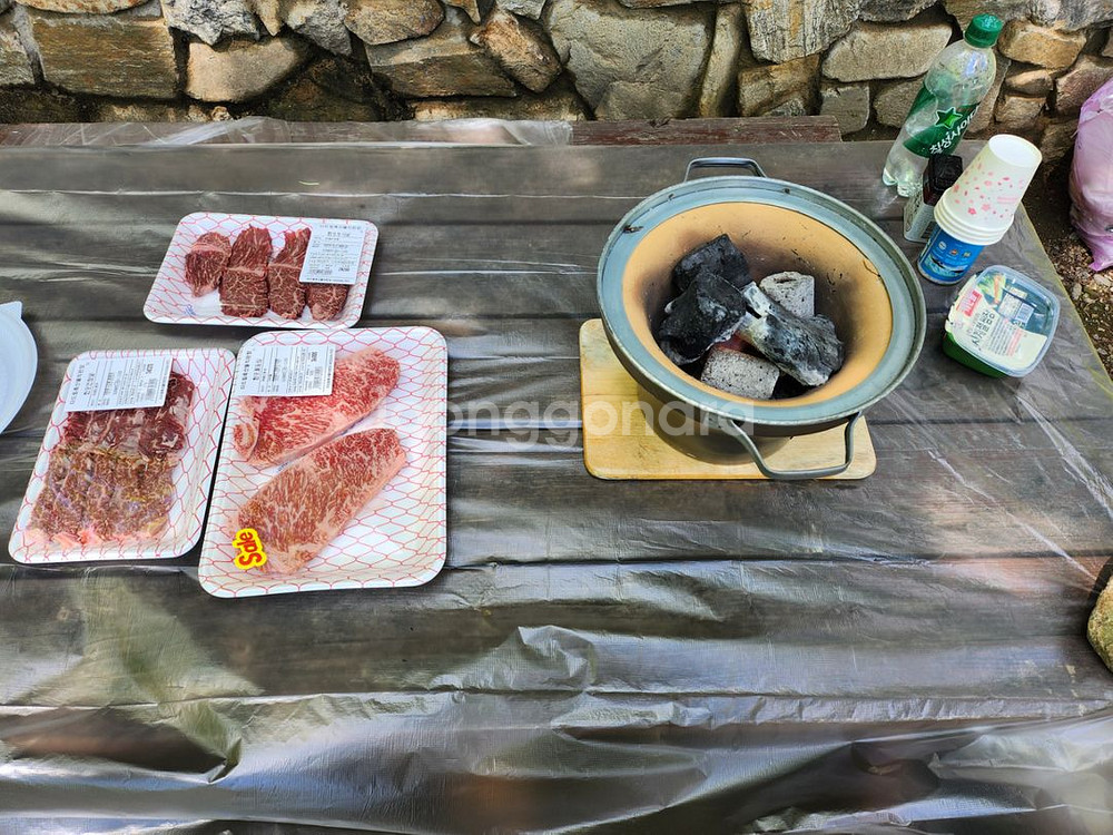 숯불화로+토치 가방 무쇠그릴등등등--8