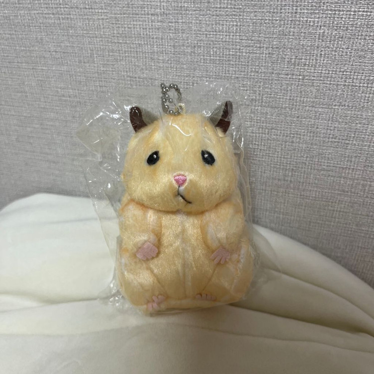 스케로쿠 뚱중햄 뚱쭝햄 햄스터 마스코트 인형 성한빈 햄 이미지