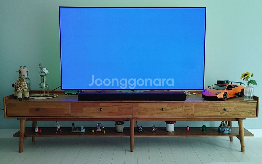 LG OLED 55인치 +티비다이--1