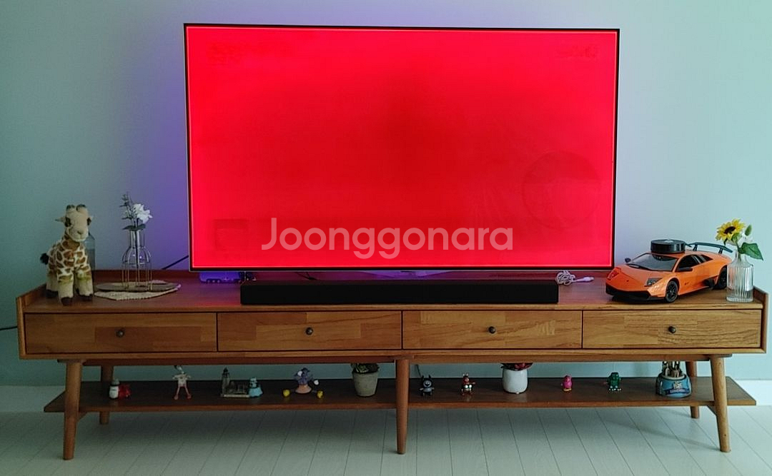 LG OLED 55인치 +티비다이--3