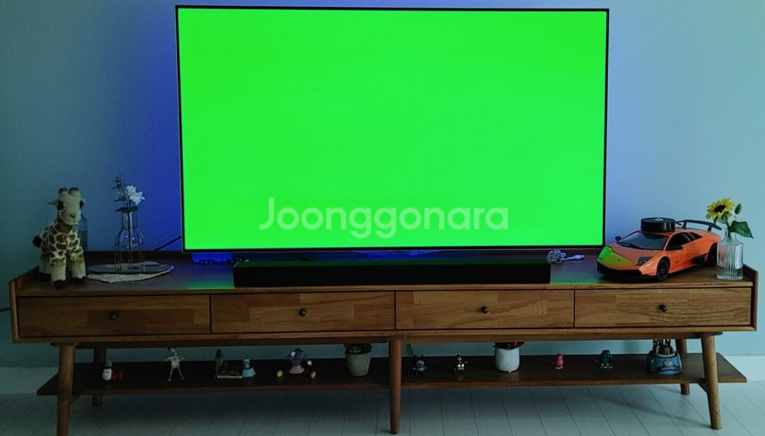 LG OLED 55인치 +티비다이--2