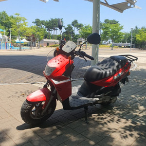 50cc 스쿠터