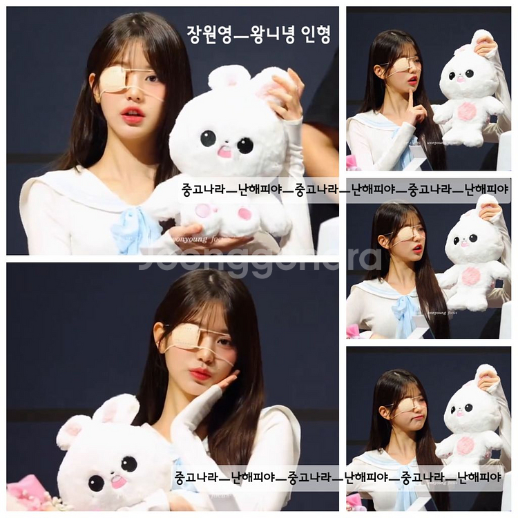 아이브 장원영 40cm인형 왕니녕 버니녕 미니브 미니니--1