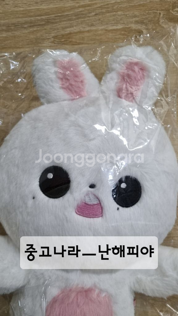 아이브 장원영 40cm인형 왕니녕 버니녕 미니브 미니니--5