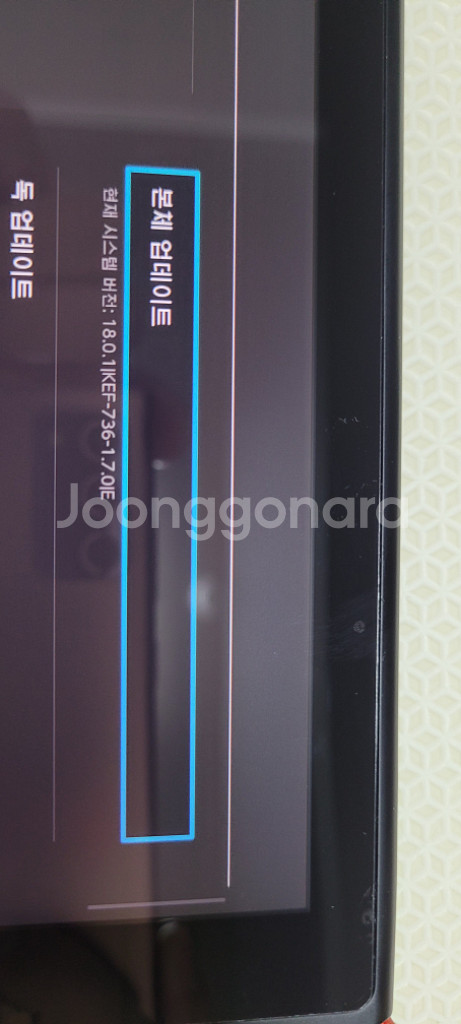닌텐도 스위치 커펌된 구형 밴 기기(256G) 풀세트--8