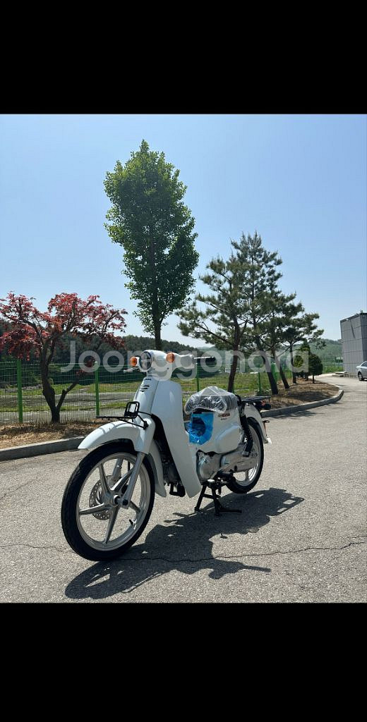 24년식 pcx125 판매 (무자본,개인,신용불량)리스--2