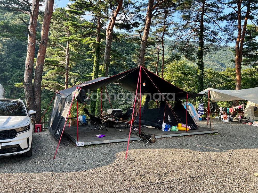 고투 렉타 타프--1