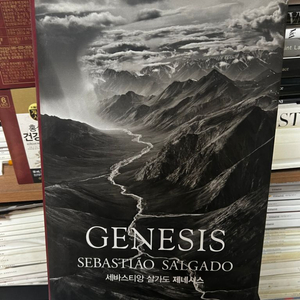 Genesis : 세바스티앙 살가도 제네시스