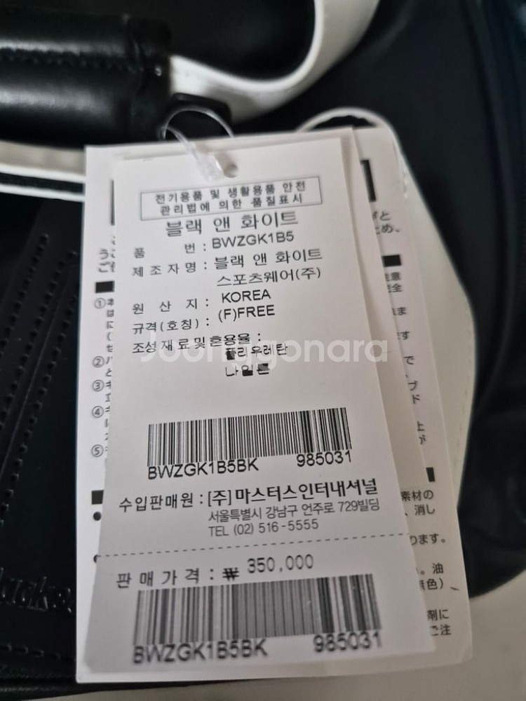 블랙앤화이트 보스턴--1