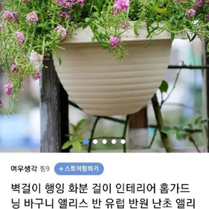 벽걸이 화분