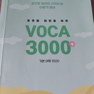 이동기 보카 3000