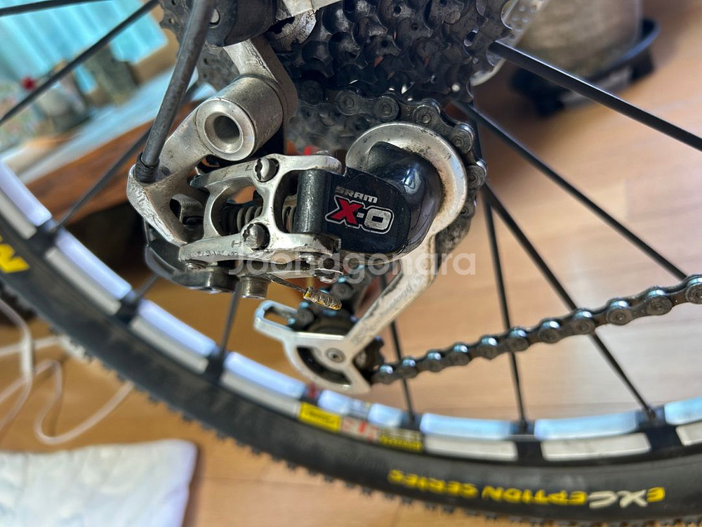TITUS (mtb)--2