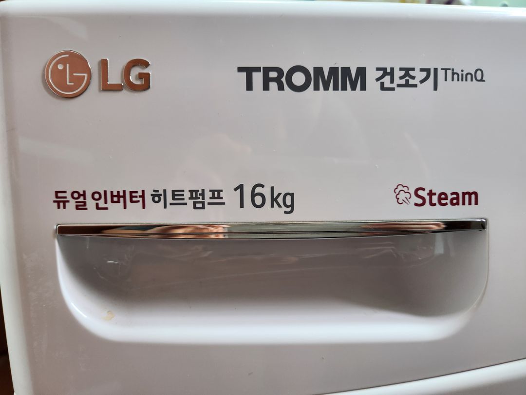 LG 스팀 건조기 16KG