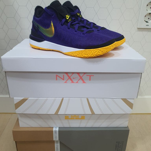 르브론 nxxt gen lakers