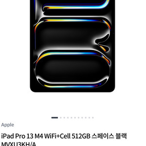 아이패드 13 M4 Cell 512GB