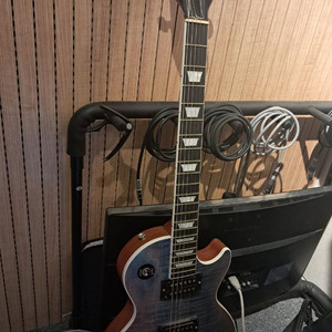 Les Paul Signature Player 판매