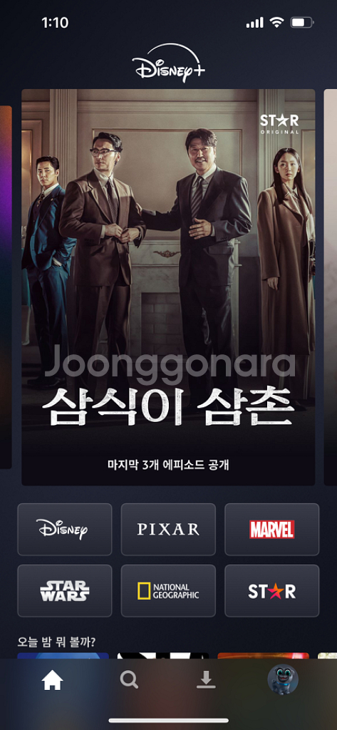 디즈니플러스 1년 모집--0