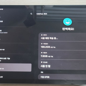 갤럭시탭 S9 fe 플러스 256gb RAM12gb