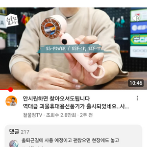 에버랜드 연간이용권 대인2 소인1 365스탠다드삽니다