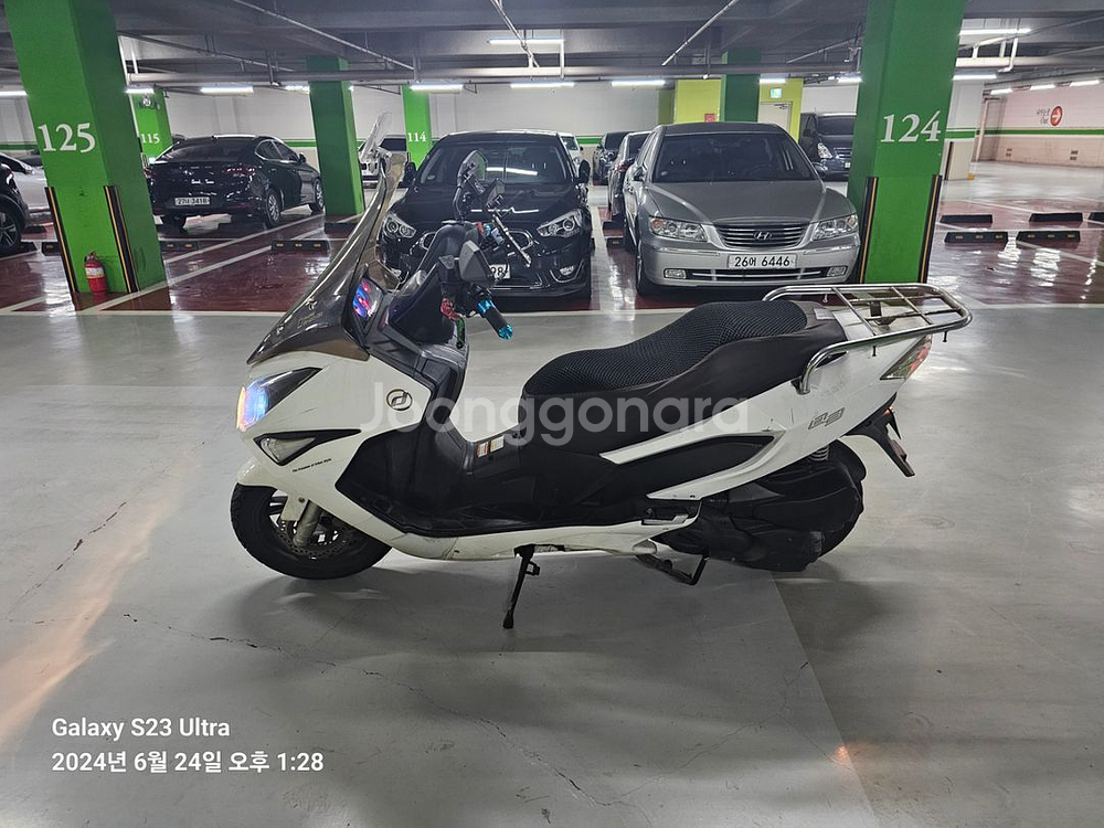 대림Q3--1