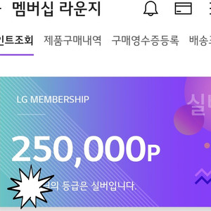 LG전자 멤버십 25만 포인트 팔아요